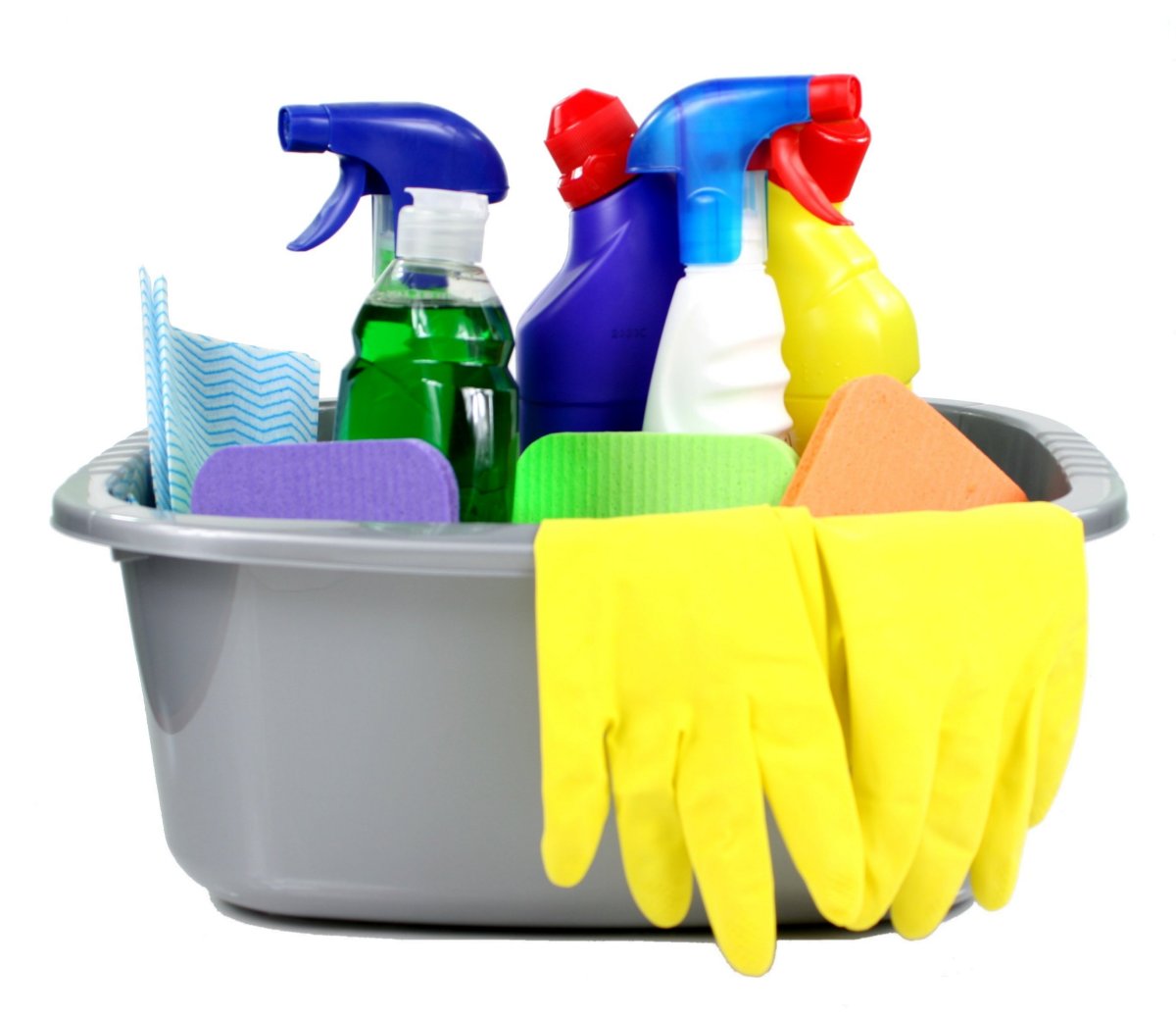 Sparkling Homes with Professional Cleaners